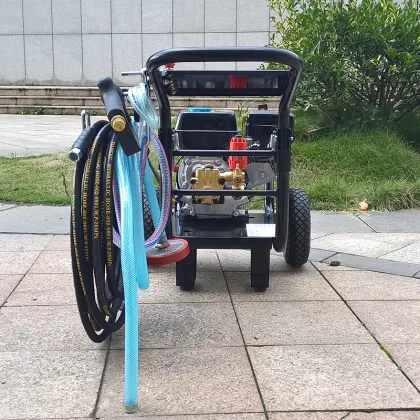 BISON(CHINA) Portable High Pressure Car Washer, Portable High Pressure Car Washer, Gasoline High Pressure Washer