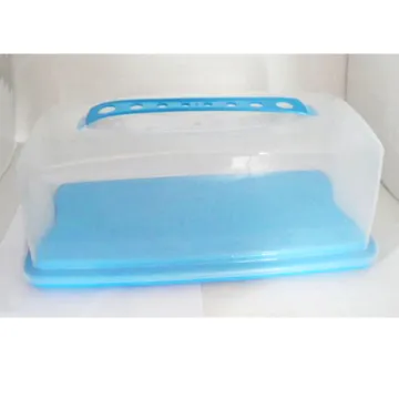 Square Plastic portable Clear blue rectangular cake box