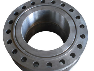 Cheap ANSI 300# forged carbon steel wn flange