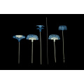 Kyphoplasty Tool Kit Instrument
