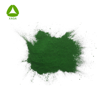 Natürliche Ergänzung 60% Protein Chlorella -Extraktpulver