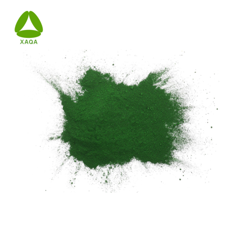 Natürliche Ergänzung 60% Protein Chlorella -Extraktpulver