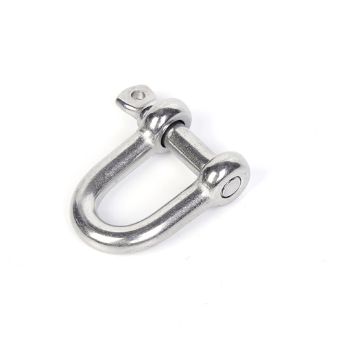 Premium Stainless Steel D-Shackle