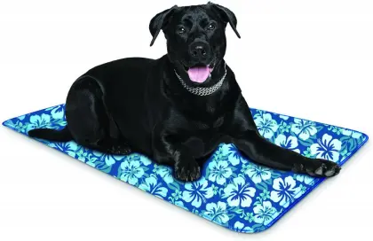New Design Cool Pet Ice Mat