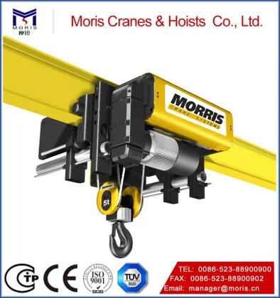 Multifunctional morris hoist with low price