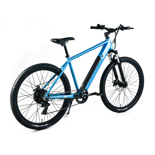 XY-SPORTSMAN ECO best budget electric mountain bike