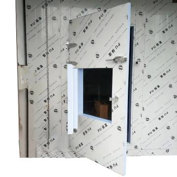 Polyurethane Panel Cold Storage Doors: Versatile Solutions for Large, Medium, and Small Freezer Rooms