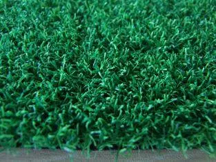Bicolor Cricket Pitch Grass