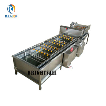 BrightSail Ginger Red Chili Hot Pepper Chilli Garlic Onion Cleaning Machine