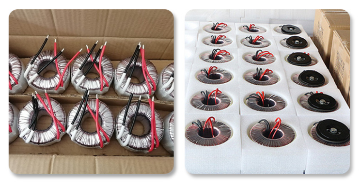 Toroidal Transformer Packing Png