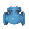 BS Check Valve PN16