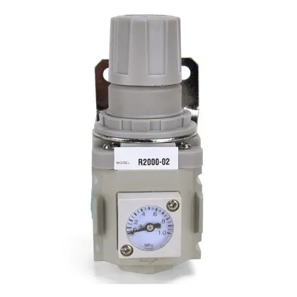 Pneumatic Reducing Valve R1100-01 CKD Reversible Pressure Regulator