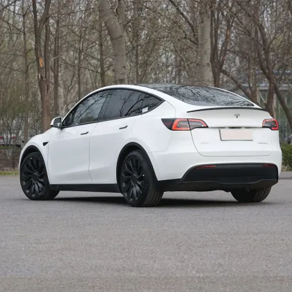 Tesla Model Y: Advanced Electric Cars for Adult Consumers in the New Energy Vehicle Market