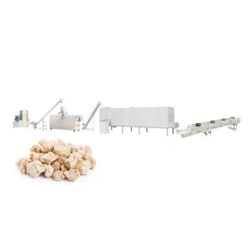 Production of Argentine Organic Soybean Vegan Protein Nuggets using Extruder and Dringg Machine