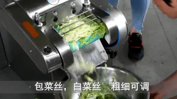 factory supply vegetable and fruit washing machine in China