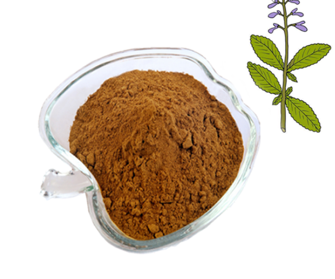 Coleus Forskohlii Root Extract Png