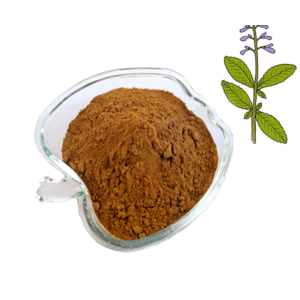 YXchuang Coleus Forskohlii Root Extract