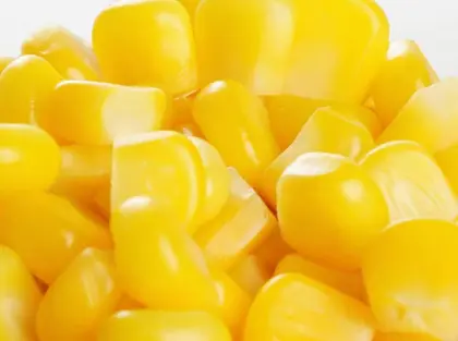 Sweet Corn Seeds Organic