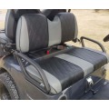 Premium Dört Yolcu Gazlı Golf Aracı