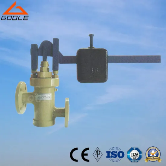 Ga49h-16 Dn40/50 Power Plant Steam Boilter Impulse Safety Valve