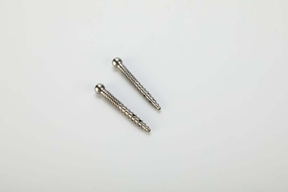 Pedicle Cement Screw