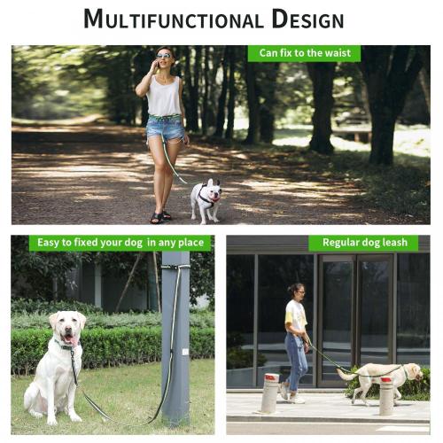 Laisses de chien multifonctionnelles / laisse