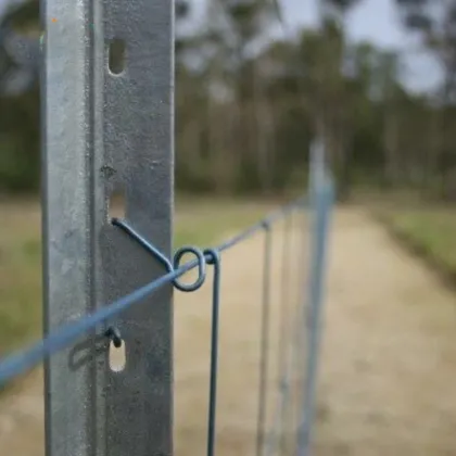 Hot Dipped Galvanized Y Post Metal Standard 3.5kg/m Y Post