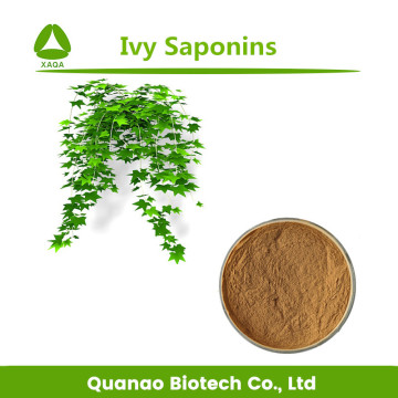 Ivy Leaf Extract Hederacoside C 10% Powder