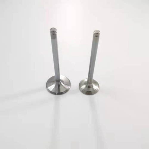 High quality auto parts engine Valves for BMW