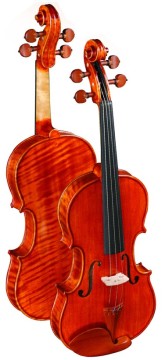 Flamed Violin (LCV300)