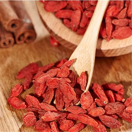 Gou Qi Top Grade Low Price Dried Fruit Goji