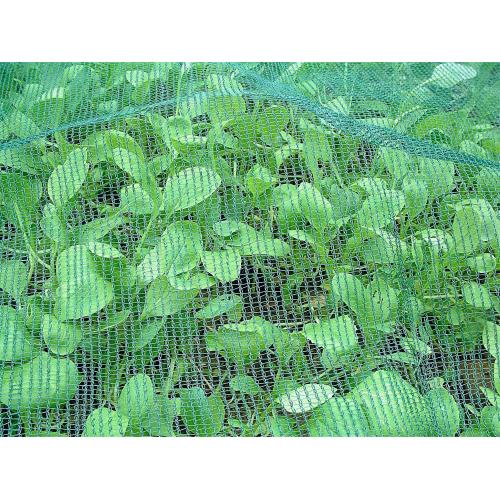 Garden Fine Mesh Insect Net Flower protection agricultural insect net Supplier