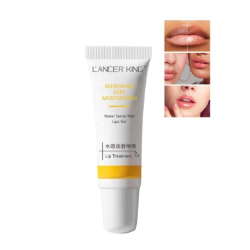 China Factory Hot Sales Private Label Lip Treatment Gel - Silky Moisturizing with Water Sense