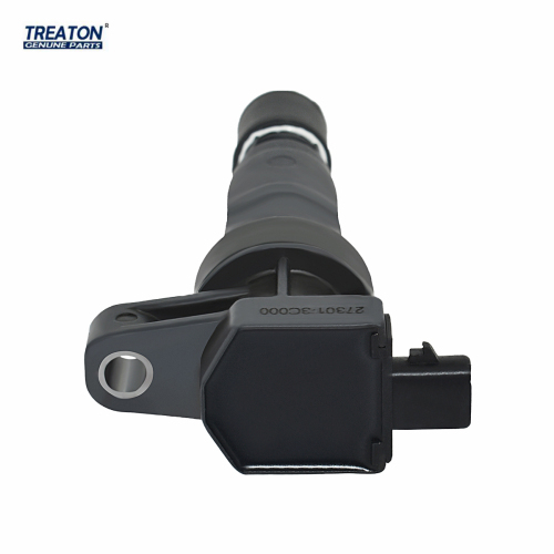 Treaton Auto Parts OEM 273013C000 27301-3C000 Ignition Coil for SanTa Fe 2005-2019