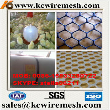 Factory !!!! Here!!!!!! KangChen Cheap Plastic Flat Netting used for sericulture or silkworm breeding