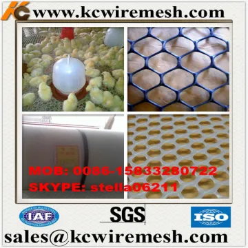 Factory !!!! Here!!!!!! KangChen Cheap Plastic Flat Netting used for sericulture or silkworm breeding