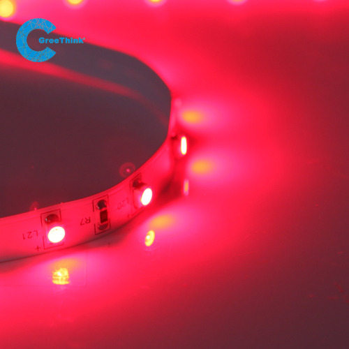 DC24V SMD 3528 Waterproof LED Grow Light Strip