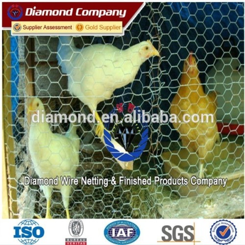 1/2" Cheap Galvanized Hexagonal Wire Mesh / Rabbit Wire Mesh / hexagonal wire mesh price