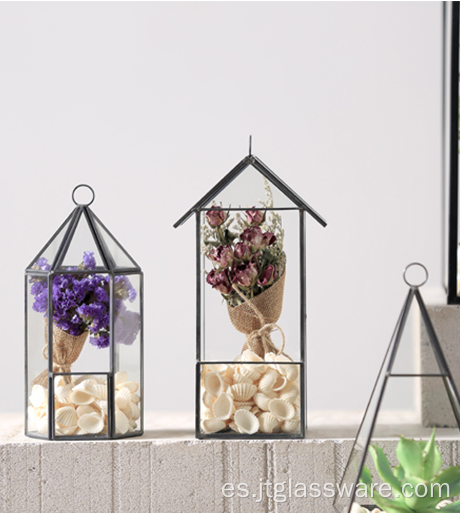 Terrario cuadrado de la flor del florero de cristal transparente de la planta