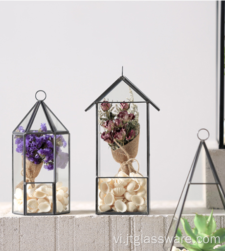 Bình thủy tinh vuông trong suốt Bình hoa Terrarium