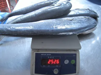 Mahi Mahi Whole Round