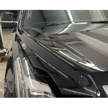 paint protection film car body detailing