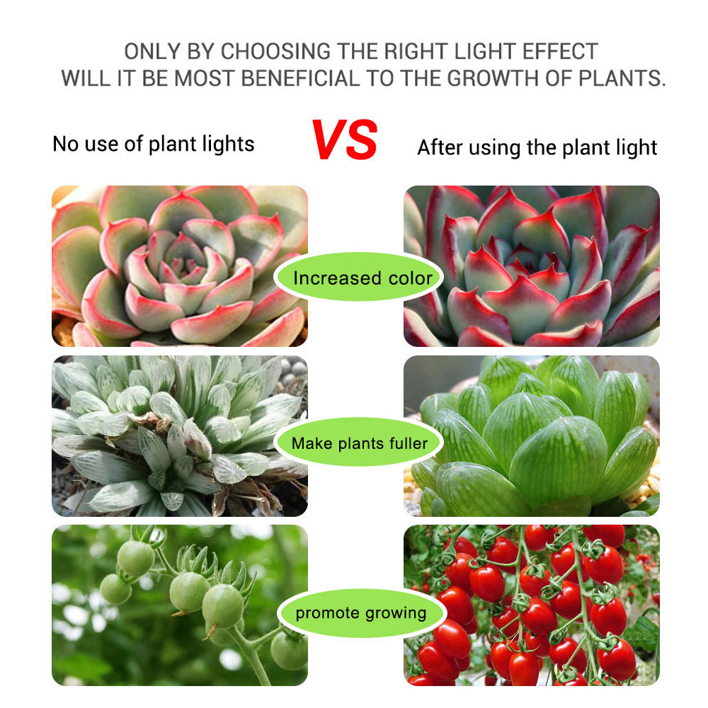 LED Grow Light Full Spectrum DC5V USB Grow Strip 0.5m 1m 1.5m 2m 2.5m 2835 SMD LED Phyto Tape for Seed Plants Flowers Greenhouse