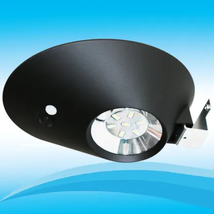 CE FCC RoHS Certification 2W Excellent Illumination Effect