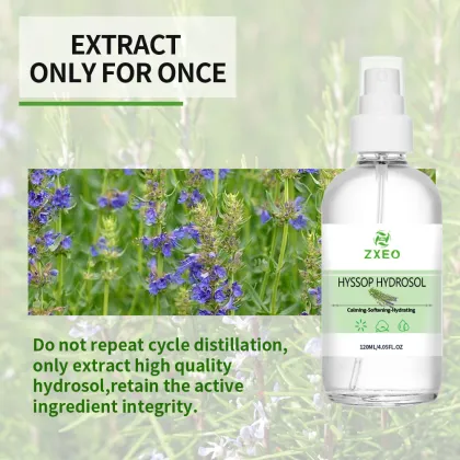 Organic Hyssop Flower Water | Hyssopus officinalis Distillate Water