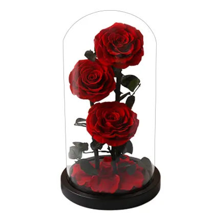 Kilian Flower of Immortality: Hot Sale Eternal Rose Products