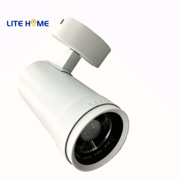 20W 30W 30W COB LEAD LED ALIMENTABLE DE LED