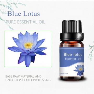 wholesale bulk pure natural 10ml top quality blue lotus oil