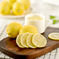 Yeni mahsul taze limon meyve toptan Price