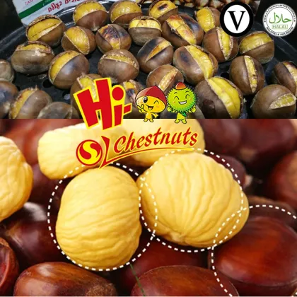 Hot selling big size Chinese Chestnuts--Tai an chestnuts